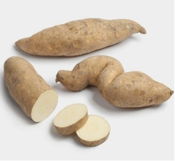 Batata Blanca agroecologica 1K