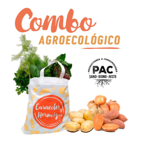 COMBO BOLSÓN (Bolsón de Verduras+Bolsón de Pesadas)