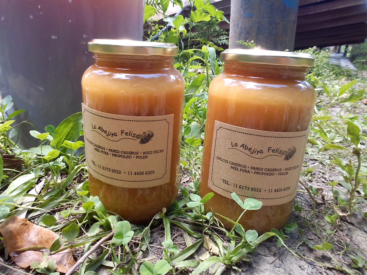 Miel pura multiflora 360cc de isla "La Abejita Feliz"