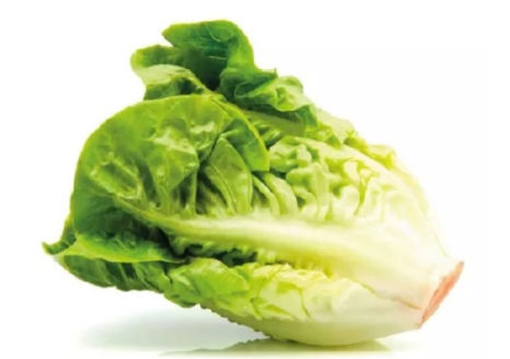 Imagen ilustrativa de Lechuga Criolla agroecologica x unidad