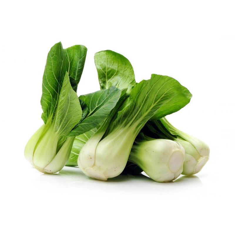 Imagen ilustrativa de Pak choi (acelga china) agroecológico atado