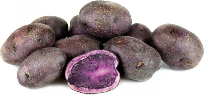 Imagen ilustrativa de Papa Andina Morada agroecologica 1K